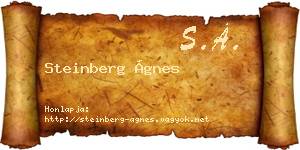 Steinberg Ágnes névjegykártya